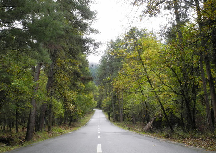 波密公路