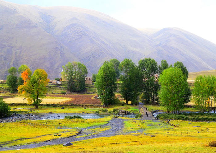 新都桥美景